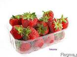 Пластиковая тара для ягод, упаковка для ягод, пинетка для ягод - фото 2