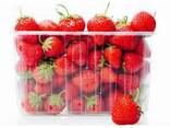 Пластиковая тара для ягод, упаковка для ягод, пинетка для ягод - фото 3