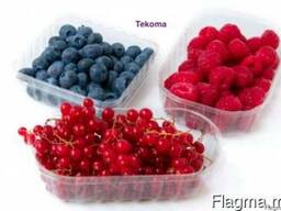 Пластиковая тара для ягод,упаковка для ягод,пинетка для ягод