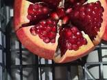 Pomegranate - photo 2