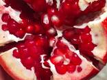 Pomegranate - photo 4