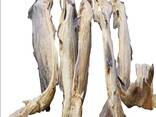 Premium Quality Dried Bombay Duck Fish / Dried Cod Fish Tosk Cod Fish - фото 1