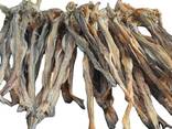 Premium Quality Dried Bombay Duck Fish / Dried Cod Fish Tosk Cod Fish - фото 3