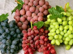 Продаем виноград Moldova