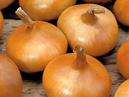 Продам лук по 0,4 euro за один килограмм. I will sell onions at 0.4 euro per kilogram