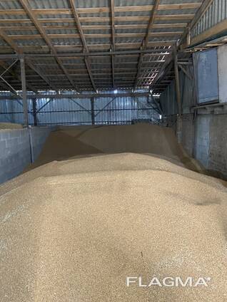 Продам пшеницу, подсолнух, сою, кукурузу, гречку, масло подсолнечное (раф/нераф) с Украини