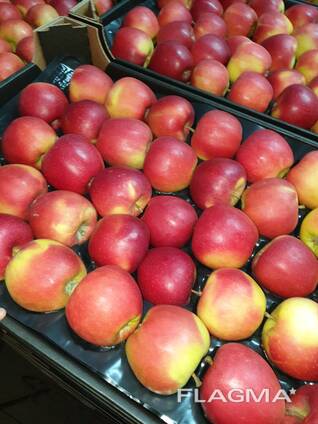 Продам яблоки из Польши