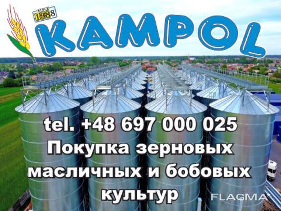 Просо куплю