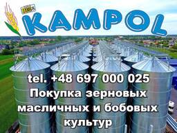 Просо куплю