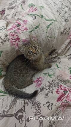 Пëстрая девочка