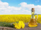 Рапсовое масло - фото 1