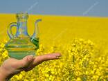 Рапсовое масло - фото 2