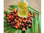 Refined palm oil Daily Food Cooking Palm Fruit Oil cp 10 cp 10 Refined Palm kernel oils - фото 1