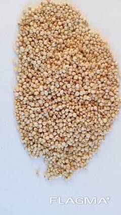 Сорго куплю- белое красное