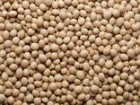 Соя без ГМО, 200 т. , урожай 2021 года, производство Украина - фото 1