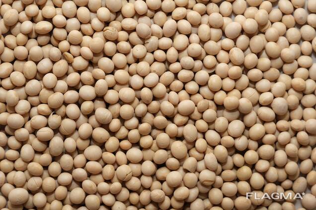 Соя без ГМО, 200 т. , урожай 2021 года, производство Украина