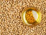 Soybean oil/Соевое масло - photo 1