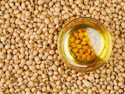 Soybean oil/Соевое масло