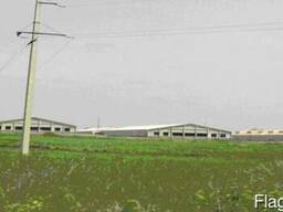 Стійка з/б СВ 95-2