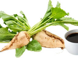Sugar beet molasses