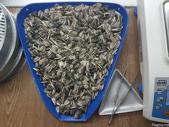 Sunflower seeds triomix (striped and black).