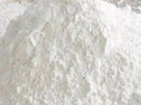 Тальк молотый (микро - тальк белый ) белизна до 99% - фото 1