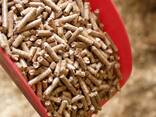 Top and chap Wood pellet for sale - фото 2