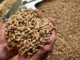 Top Product Wood Pellets For Cooking Fuel 20-30mm Length Made In Viet Nam - photo 1
