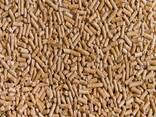 Factory Outlet cheap bulk biomass wood fuel pellets