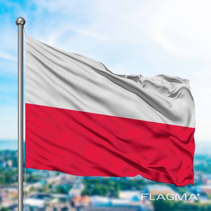 Воеводская виза на 36 месяцев (разрешение на работу от транспортной компании)