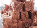 Wholesale Copper wire scrap 99.99%/ Industrial copper wire scrap for sale at cheap prices - photo 2