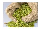 Wholesale Supplier Of Bulk Fresh Stock of Green Mung Beans / Whole Moong Beans - photo 3