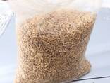Wood Pellets DIN PLUS / ENplus-A1 Wood Pellets - фото 1