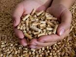 Wood Pellets DIN PLUS / ENplus-A1 Wood Pellets - фото 2