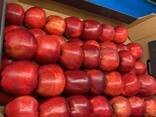 Яблоки свежие зимних сортов - фото 1
